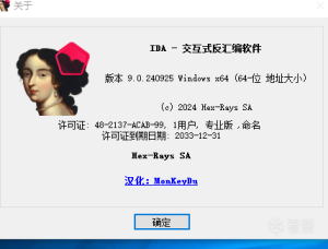 IDA Pro 9.0汉化版本-空投项目发布网